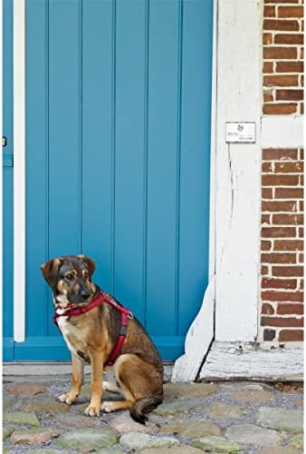 Metzler LED-Türklingel aus Edelstahl in Weiß - Personalisiertes Design für Ihr Zuhause