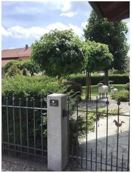 Metzler Edelstahl Aufputz Türklingel mit Gravur - Einfache Montage & anthrazit Pulverbeschichtung für moderne Eingänge -