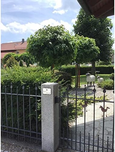 Metzler LED-Türklingel aus Edelstahl in Weiß - Personalisiertes Design für Ihr Zuhause